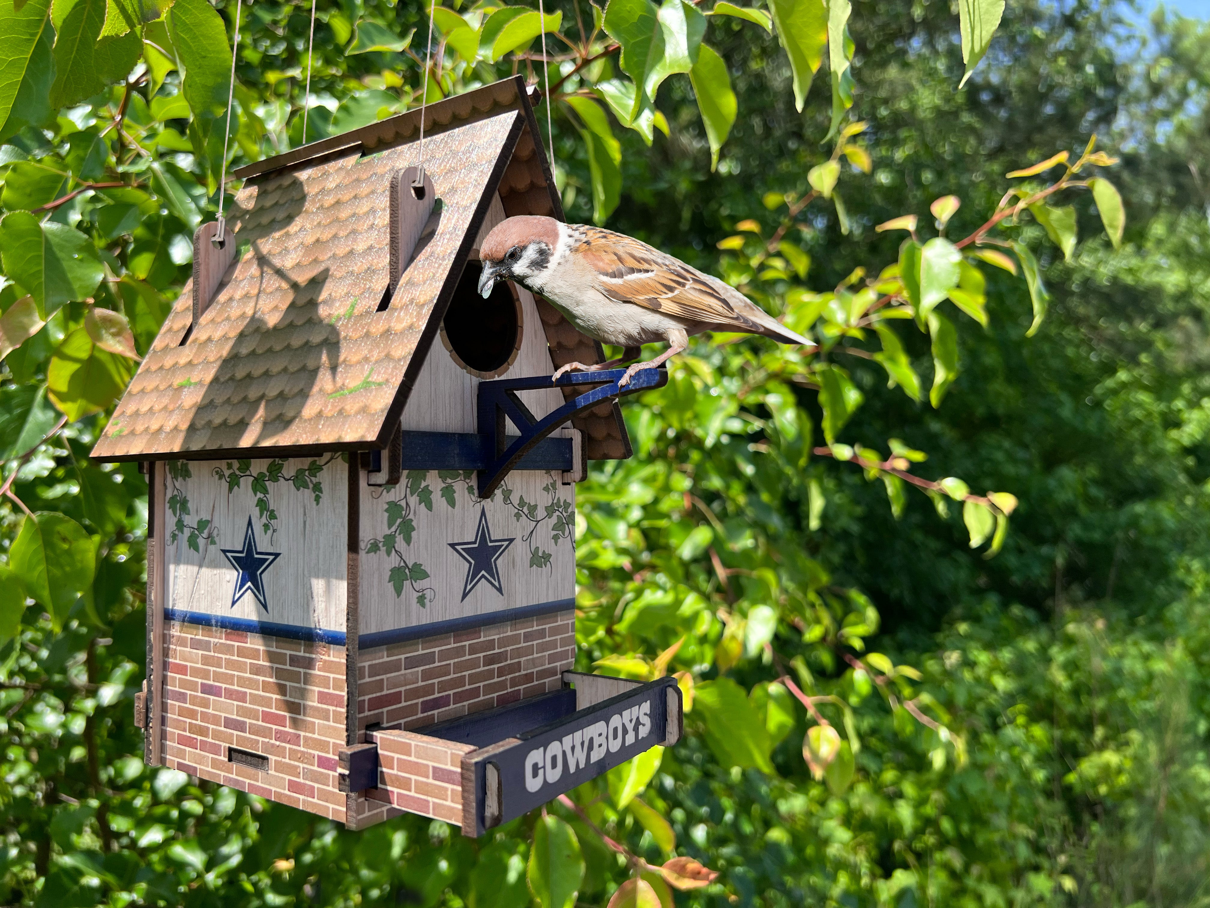 Buffalo Bills Two-Sided Cedar Bird Feeder