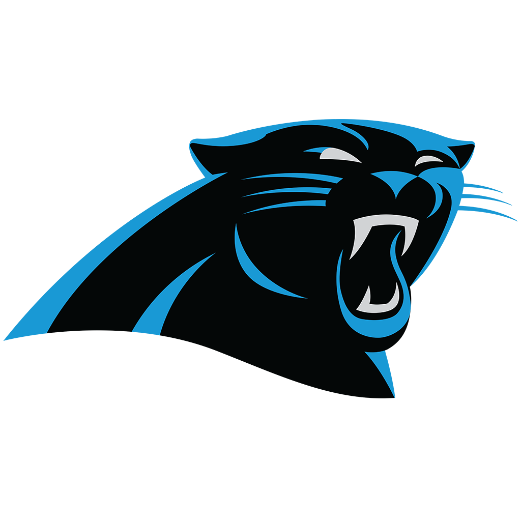 Carolina Panthers City Football 12in