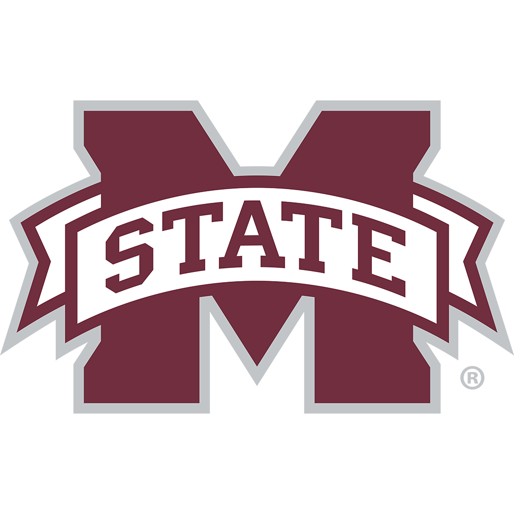 Mississippi State Dog House Frame – Fan Creations GA