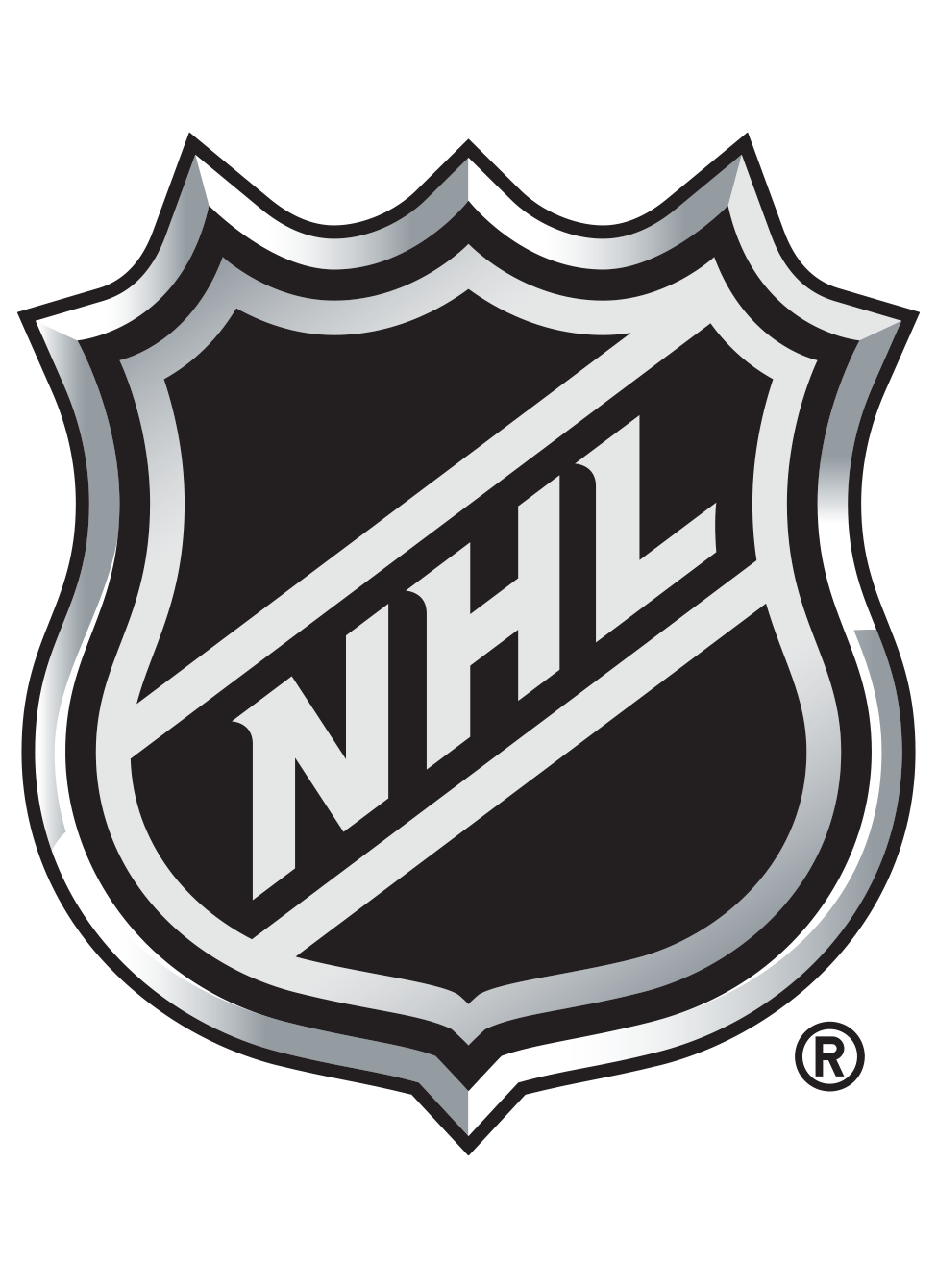 NHL Fan Creations GA