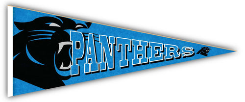 Fan Creations Home Decor Carolina Panthers Pennant