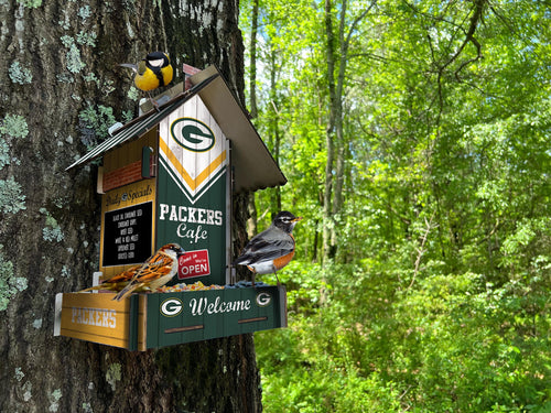 Fan Creations Home Decor Green Bay Packers  Bird Feeder