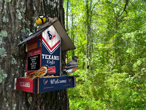 Fan Creations Home Decor Houston Texans  Bird Feeder