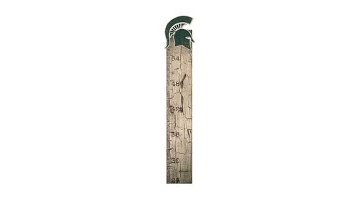 Fan Creations 6x36 Sign Michigan State Growth Chart Sign