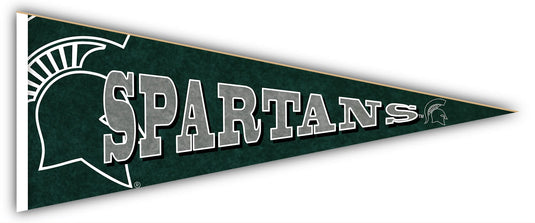 Fan Creations Home Decor Michigan State Pennant