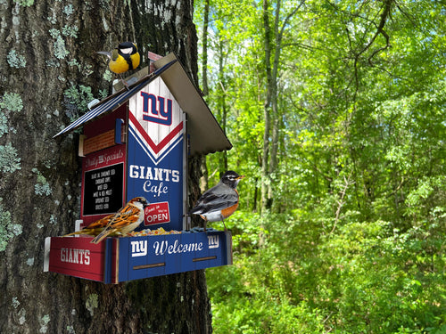 Fan Creations Home Decor New York Giants  Bird Feeder