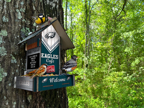Fan Creations Home Decor Philadelphia Eagles  Bird Feeder