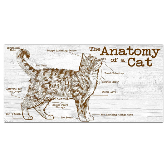 Fan Creations 6x12 Pet Cat Anatomy of a Dog/Cat 6x12