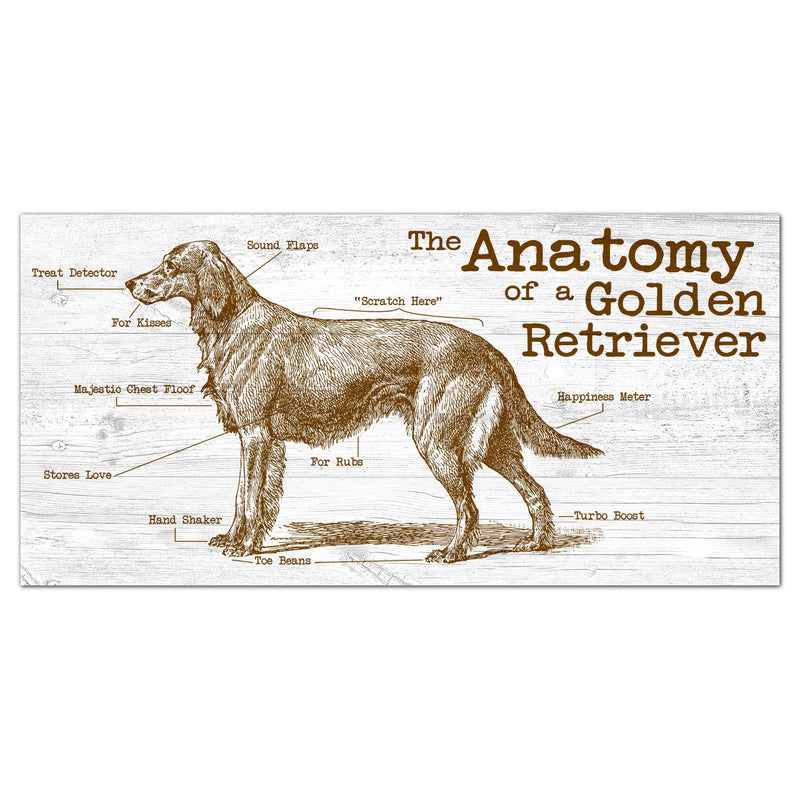 Load image into Gallery viewer, Fan Creations 6x12 Pet Golden Retriever Anatomy of a Dog/Cat 6x12
