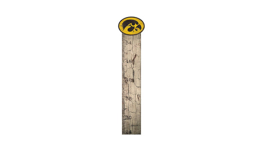 Fan Creations 6x36 Sign Iowa Growth Chart Sign
