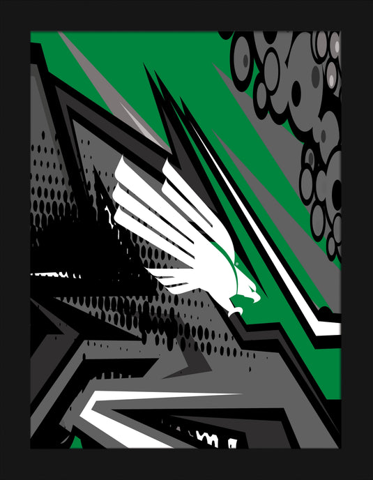 Fan Creations Home Decor North Texas Team Comic 12x16