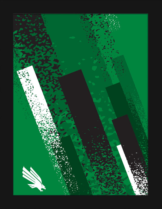 Fan Creations Home Decor North Texas Team Color 12x16