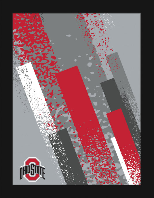 Fan Creations Home Decor Ohio State Team Color 12x16