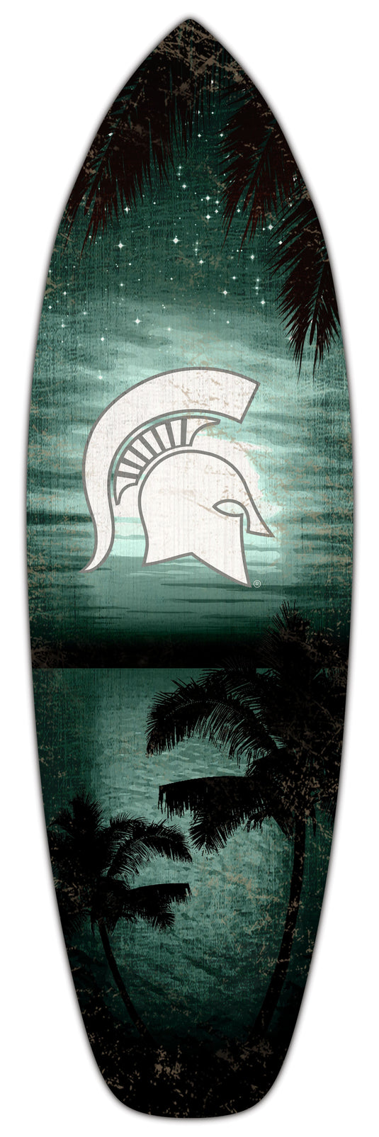 Fan Creations 24inch NCAA Michigan State University Surfboard Wall Art