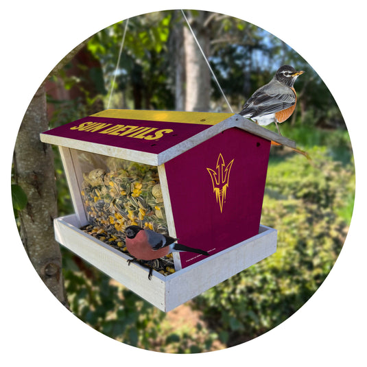 Fan Creations Outdoor Bird Feeder  for Sports Fans - Assembled -    Arizona State University