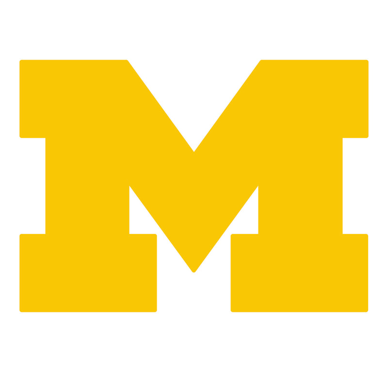Load image into Gallery viewer, Fan Creations 24&quot; NCAA University of Michigan Logo Cutout
