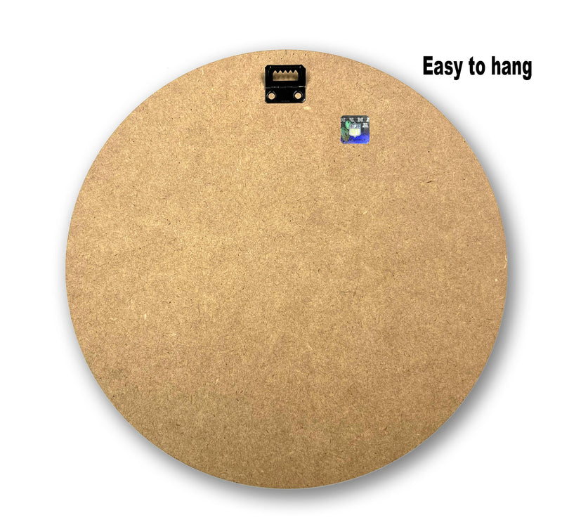 Load image into Gallery viewer, Fan Creations NCAA University of Wisconsin Argyle 16inc Circle Wall Art
