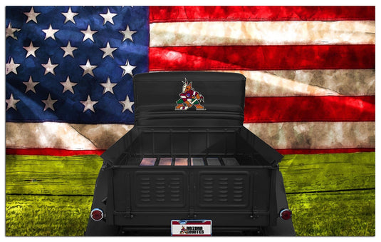 Fan Creations Home Decor Arizona Coyotes  Patriotic Retro Truck 11x19