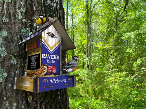 Fan Creations Home Decor Baltimore Ravens  Bird Feeder