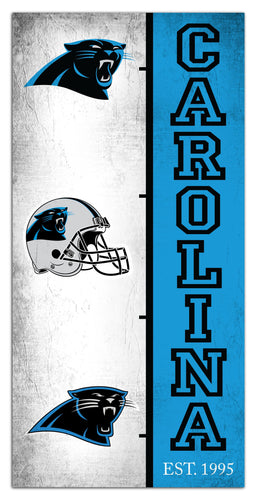 Fan Creations Home Decor Carolina Panthers Team Logo Progression 6x12