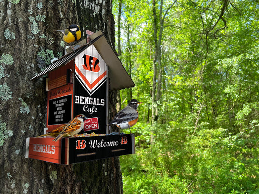 Fan Creations Home Decor Cincinnati Bengals  Bird Feeder