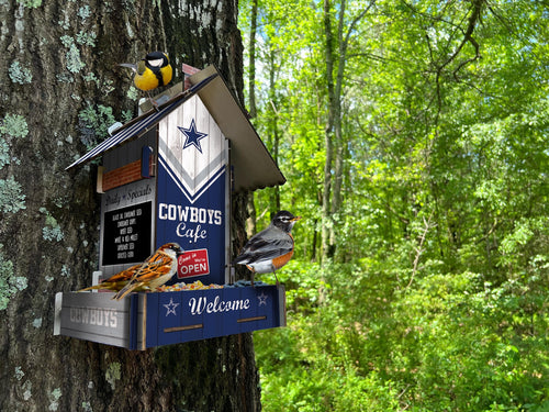 Fan Creations Home Decor Dallas Cowboys  Bird Feeder