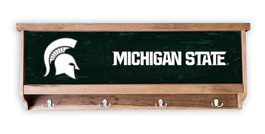 Fan Creations Wall Decor Michigan State Large Concealment Case