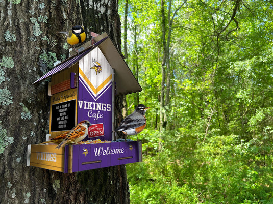Fan Creations Home Decor Minnesota Vikings  Bird Feeder