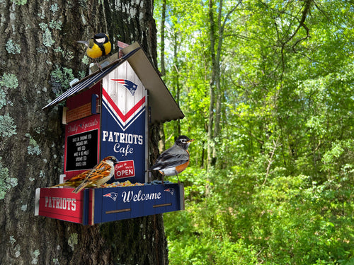 Fan Creations Home Decor New England Patriots  Bird Feeder