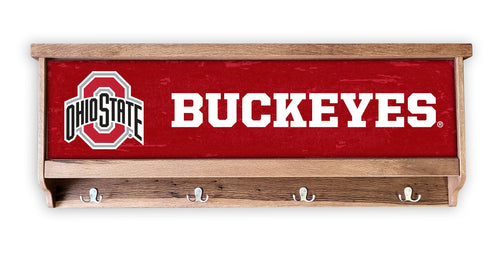 Fan Creations Wall Decor Ohio State Large Concealment Case