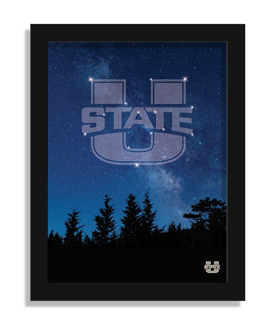 Fan Creations Home Decor Utah State in the Stars 12x16