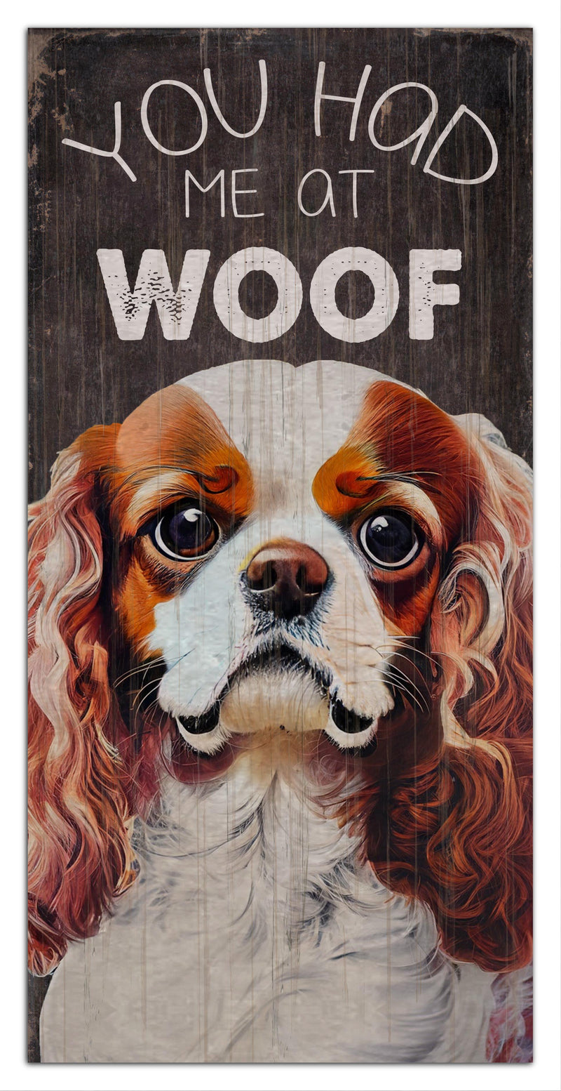 Load image into Gallery viewer, Fan Creations 6x12 Pet You Had Me At Woof 6x12
