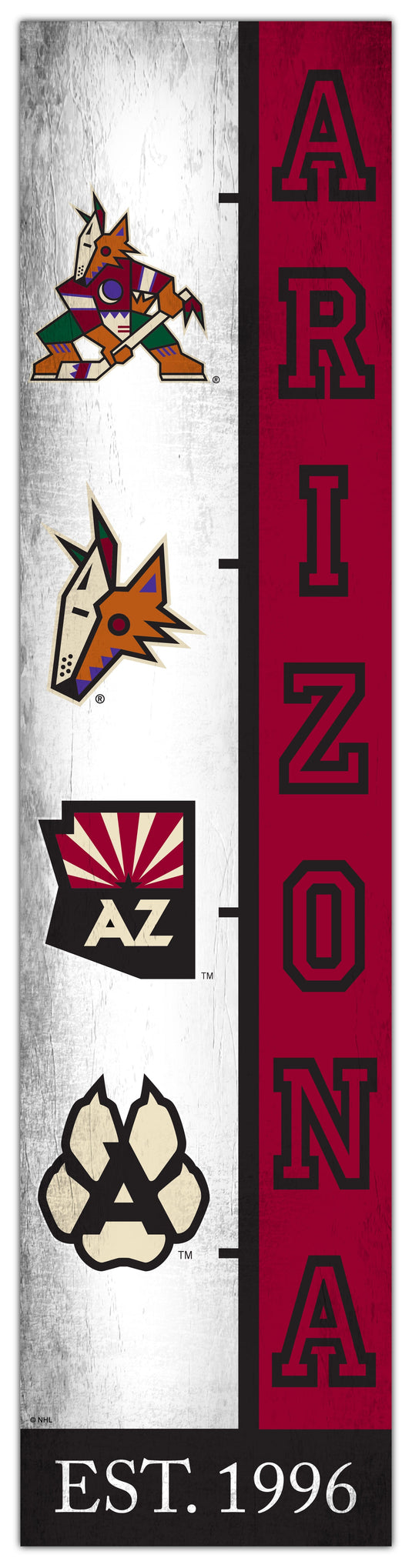 Fan Creations Home Decor Arizona Coyotes Team Logo Progression 6x24