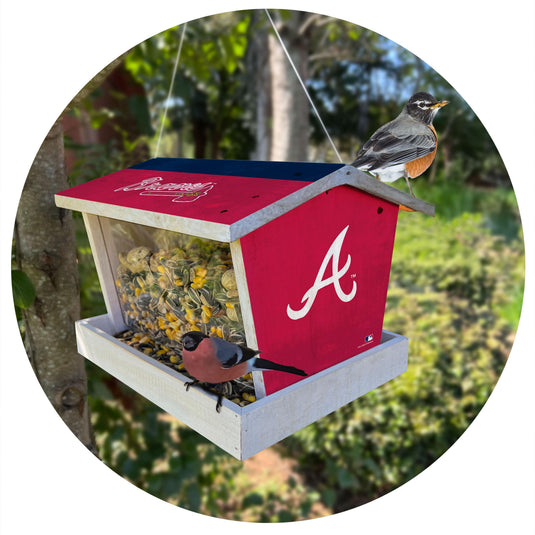 Fan Creations Outdoor MLB Atlanta Braves Bird Feeder for Sports Fans - Assembled