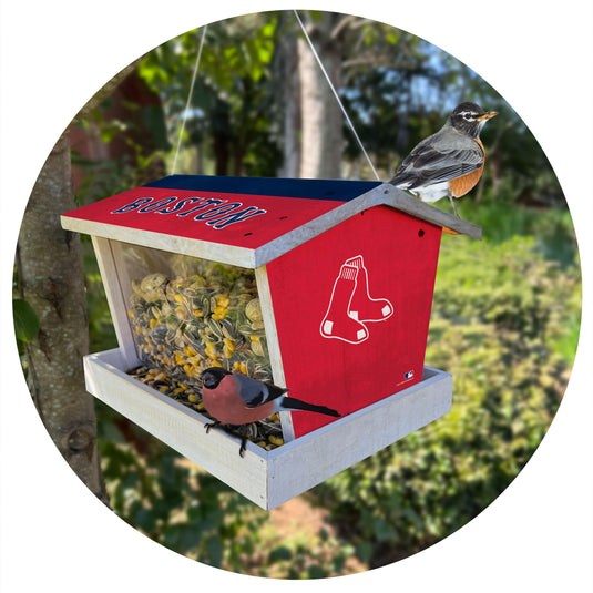 Fan Creations Outdoor MLB Boston Red Sox Bird Feeder for Sports Fans - Assembled