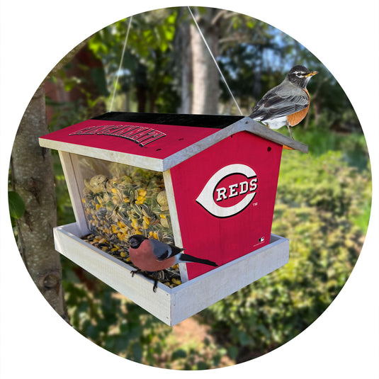 Fan Creations Outdoor MLB Cincinnati Reds Bird Feeder for Sports Fans - Assembled