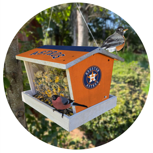 Fan Creations Outdoor MLB Houston Astros Bird Feeder for Sports Fans - Assembled