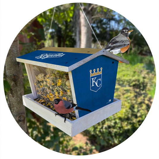 Fan Creations Outdoor MLB Kansas City Royals Bird Feeder for Sports Fans - Assembled