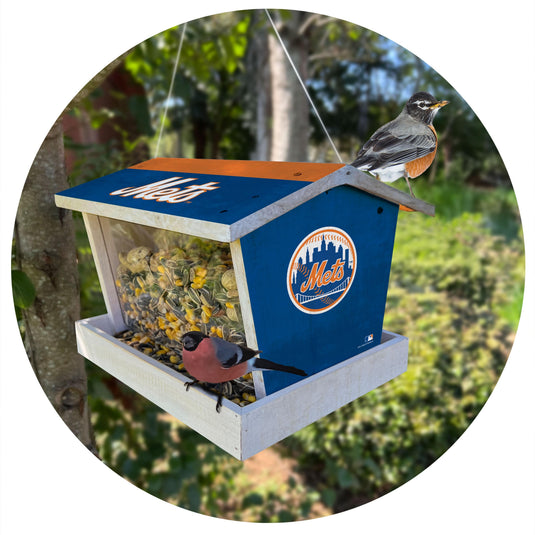Fan Creations Outdoor MLB New York Mets Bird Feeder for Sports Fans - Assembled