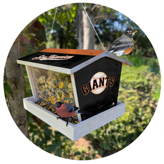 Fan Creations Outdoor MLB San Francisco Giants Bird Feeder for Sports Fans - Assembled