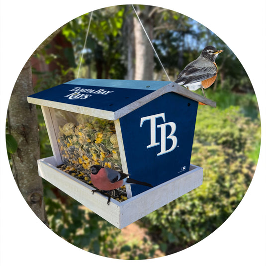 Fan Creations Outdoor MLB Tampa Bay Rays Bird Feeder for Sports Fans - Assembled