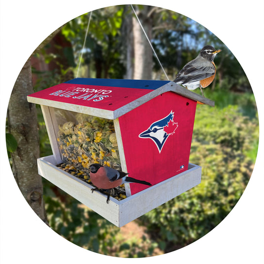 Fan Creations Outdoor MLB Toronto Blue Jays Bird Feeder for Sports Fans - Assembled