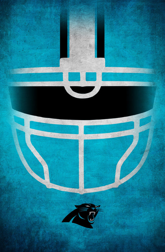 Fan Creations Home Decor Carolina Panthers   Ghost Helmet 17x26