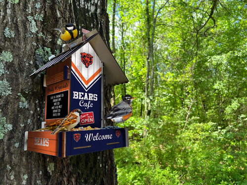 Fan Creations Home Decor Chicago Bears  Bird Feeder