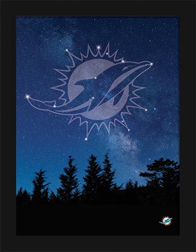 Fan Creations Wall Decor Miami Dolphins In The Stars 12x16