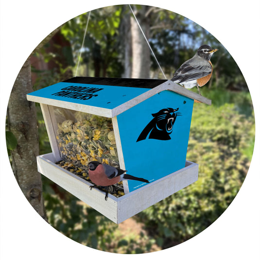 Fan Creations Outdoor NFL Carolina Panthers Bird Feeder for Sports Fans - Assembled