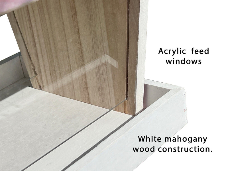 Load image into Gallery viewer, Fan Creations Outdoor NFL Cincinnati Bengals Bird Feeder for Sports Fans - Assembled
