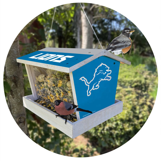 Fan Creations Outdoor NFL Detroit Lions Bird Feeder for Sports Fans - Assembled