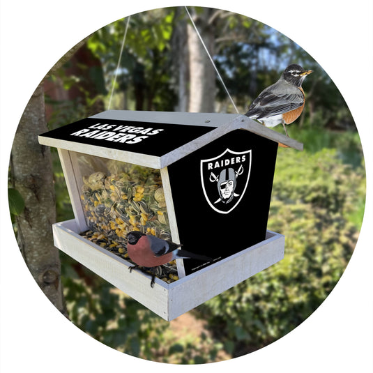Fan Creations Outdoor NFL Las Vegas Raiders Bird Feeder for Sports Fans - Assembled