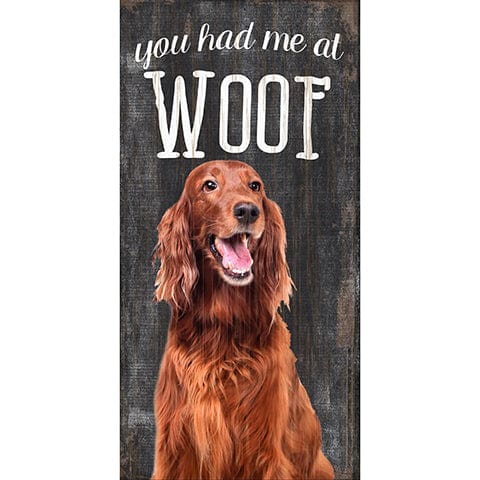 Fan Creations 6x12 Pet Irish Setter You Had Me At Woof 6x12